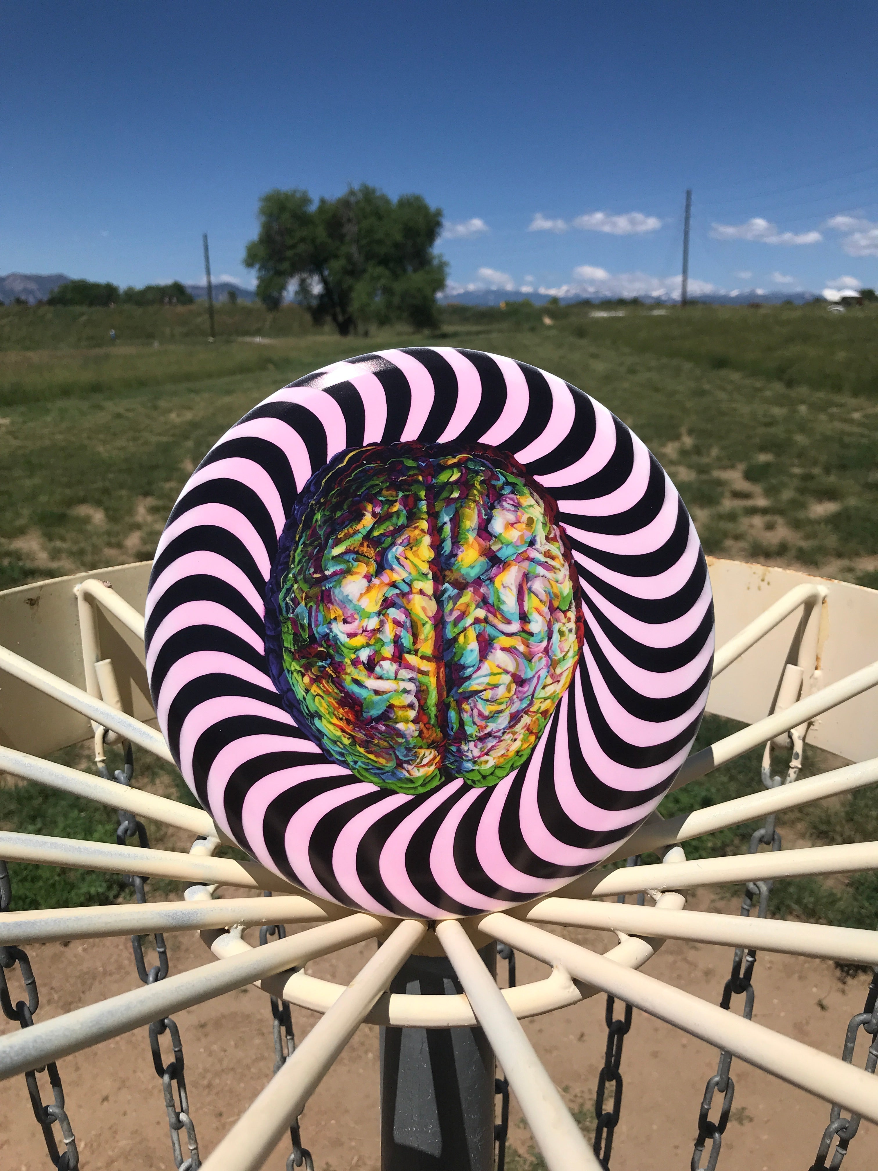 Trippy Brain// Hold U Disc Golf Pair