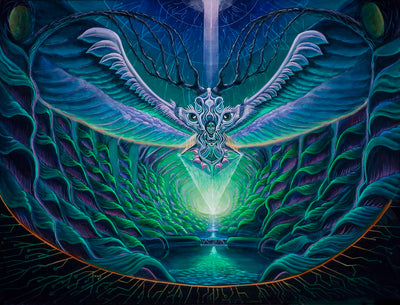 Spirit of the Forest a painting inspired by Ayahuasca Canvas Print