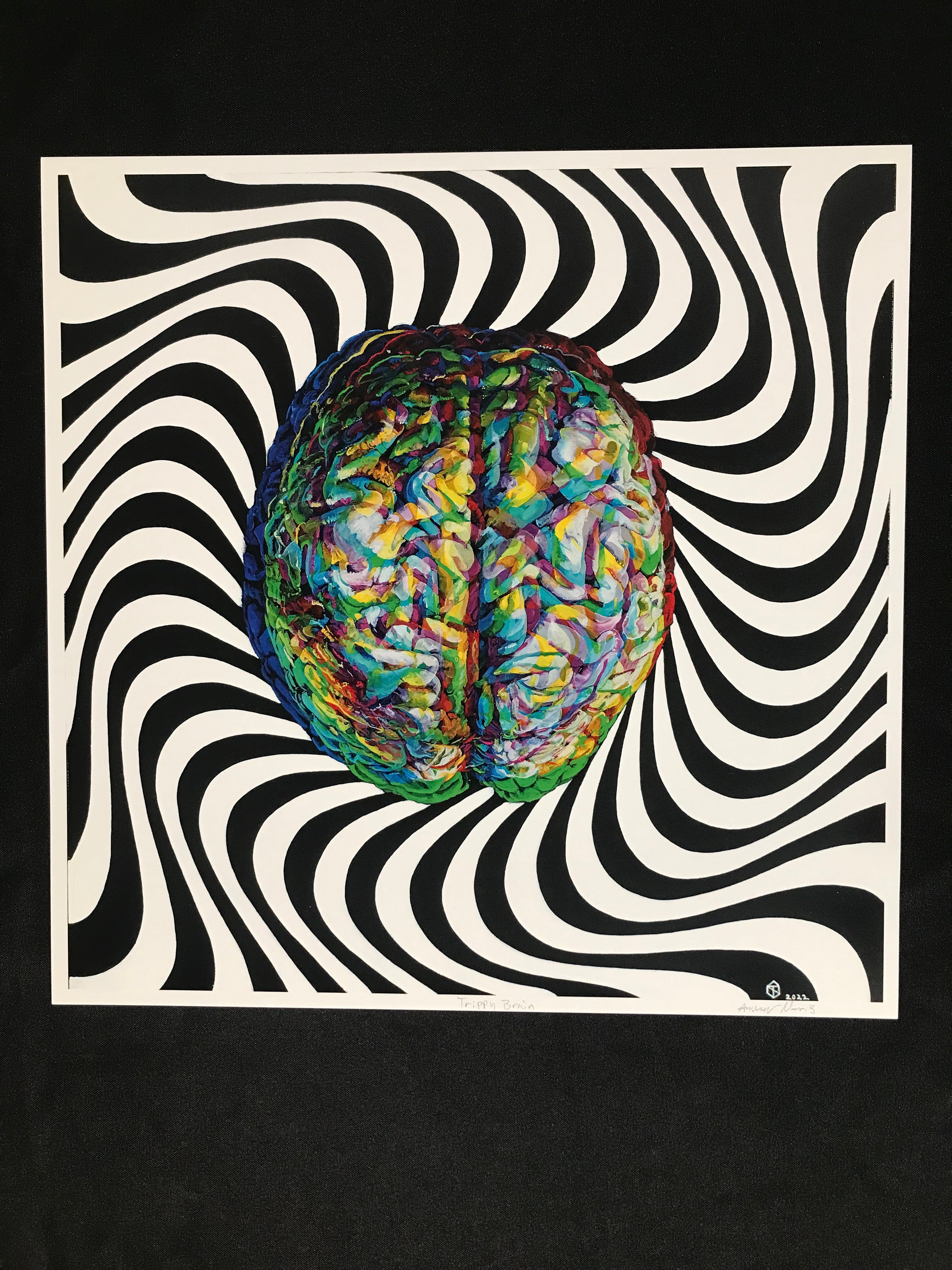 Trippy Brain Limited Edition Print